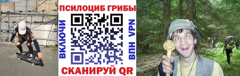 Галлюциногенные грибы GOLDEN TEACHER Феодосия